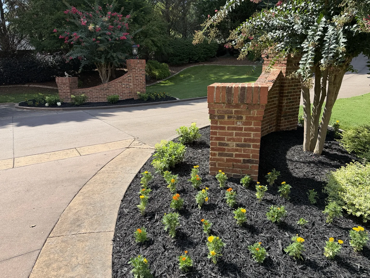 North Georgia landscape project